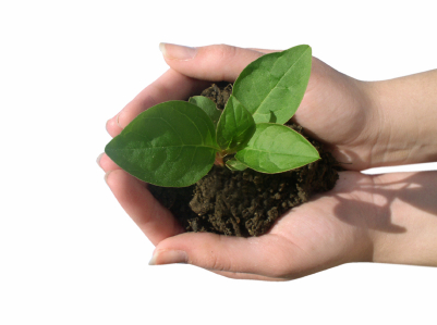 Growth is in your hands